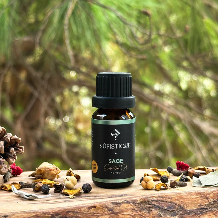 Adaçayı - Salvia Triloba