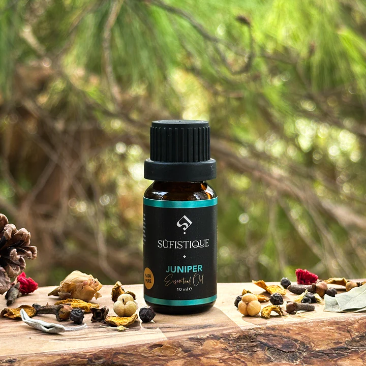 Ardıç - Juniperus Communis