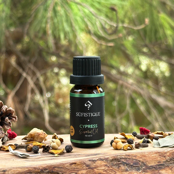 Selvi - Cupressus Sempervirens 