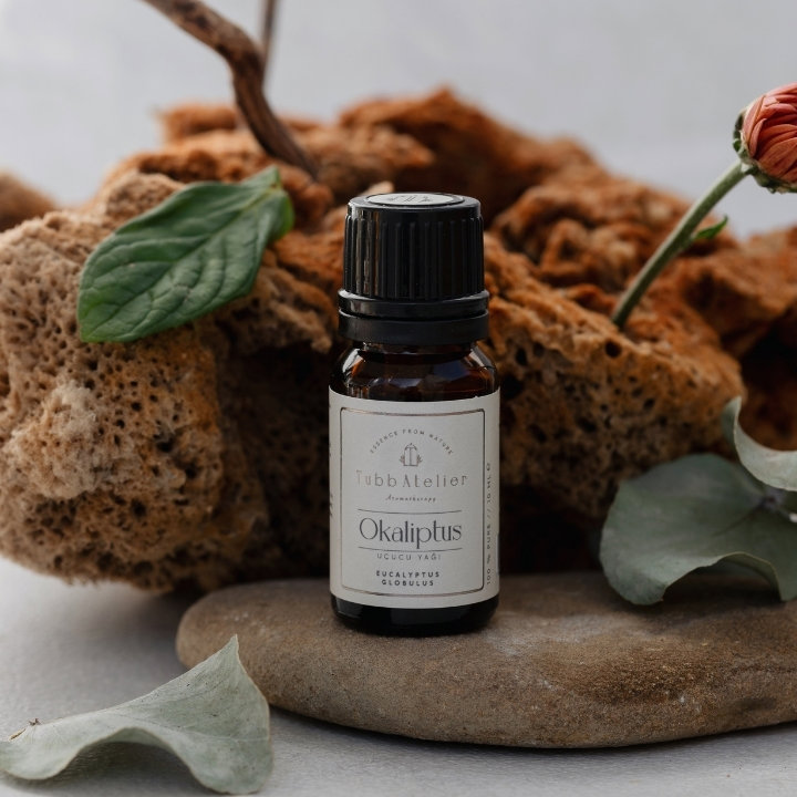 Okaliptüs Uçucu Yağ